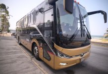 Servicio de autobuses Ulúa será gratuito durante el Carnaval de Veracruz, anuncia Nahle