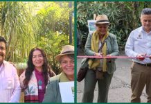 Pasión por Veracruz