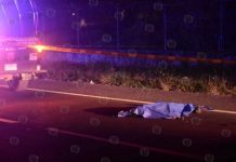 Muere atropellado en Emiliano Zapata
