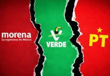 PT y PVEM rompen diálogo con Morena tras discordancias en proyecto de reforma electoral