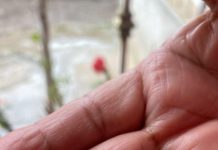 La tarde de este viernes se registró la primera granizada del año en Xalapa