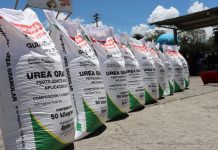 Guerra en Irán causa crisis con los fertilizantes en México, EU y Canadá; aumentarán precios de productos agrícolas