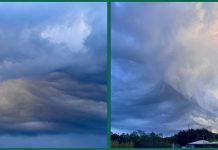 Nubes de forma poco común llamaron la atención de xalapeños; Conagua explica el fenómeno meteorológico