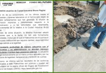 Parque industrial no ha sido municipalizado; mientras, administradora sigue cobrando a empresas aunque zona esté en pésimo estado